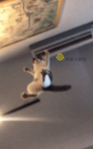 -7Q5-efxyXoZ6rT1kS8c-da.gif