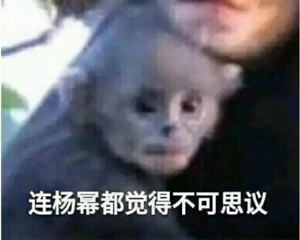 TIM图片20190626094216.jpg