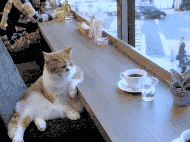 TIM图片20190626130758.gif