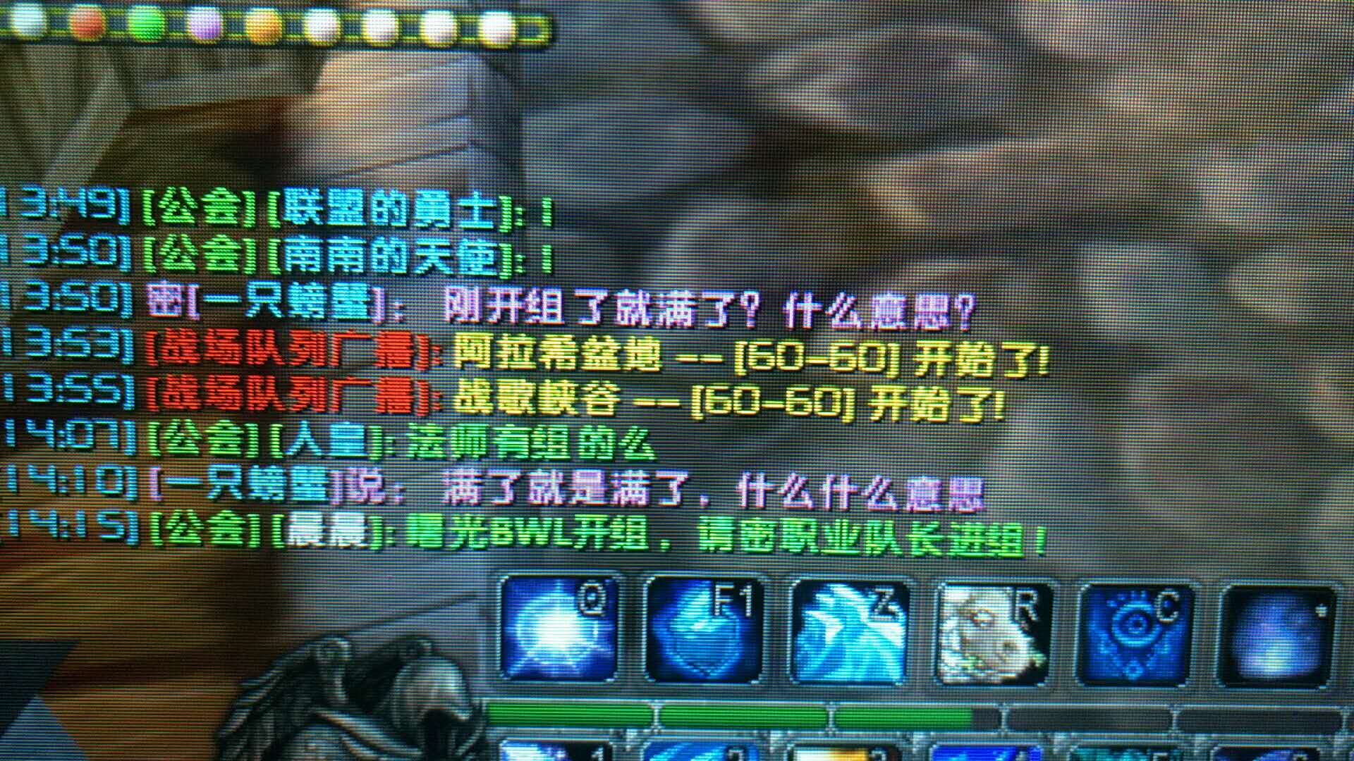 一只2.jpg