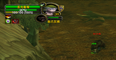 圣光剔骨打怪.png