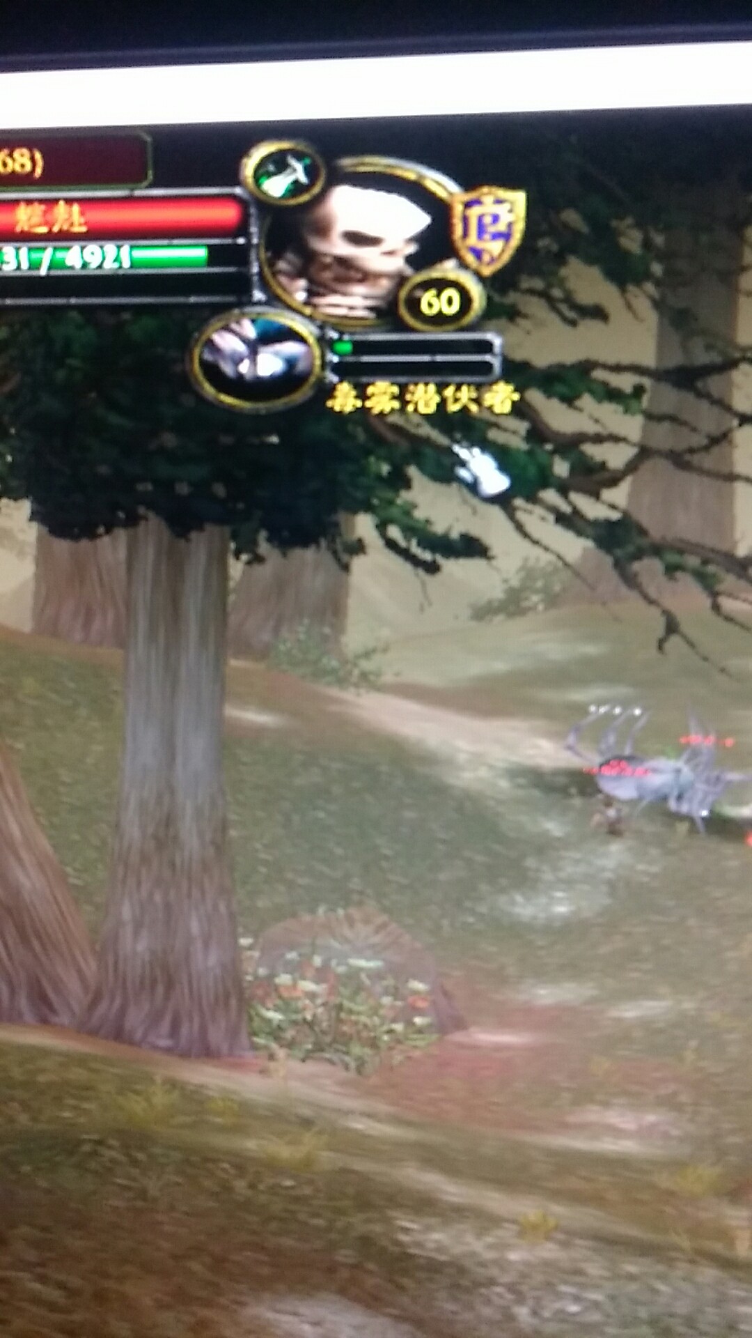 wx_camera_1532702687357.jpg