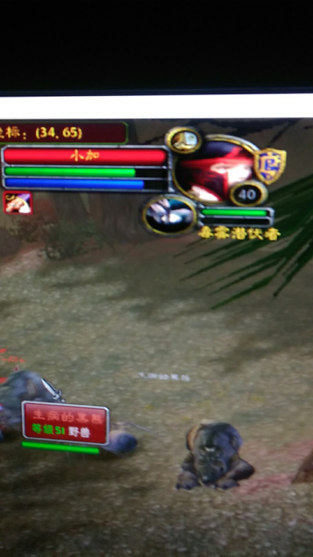 wx_camera_1532702745259.jpg